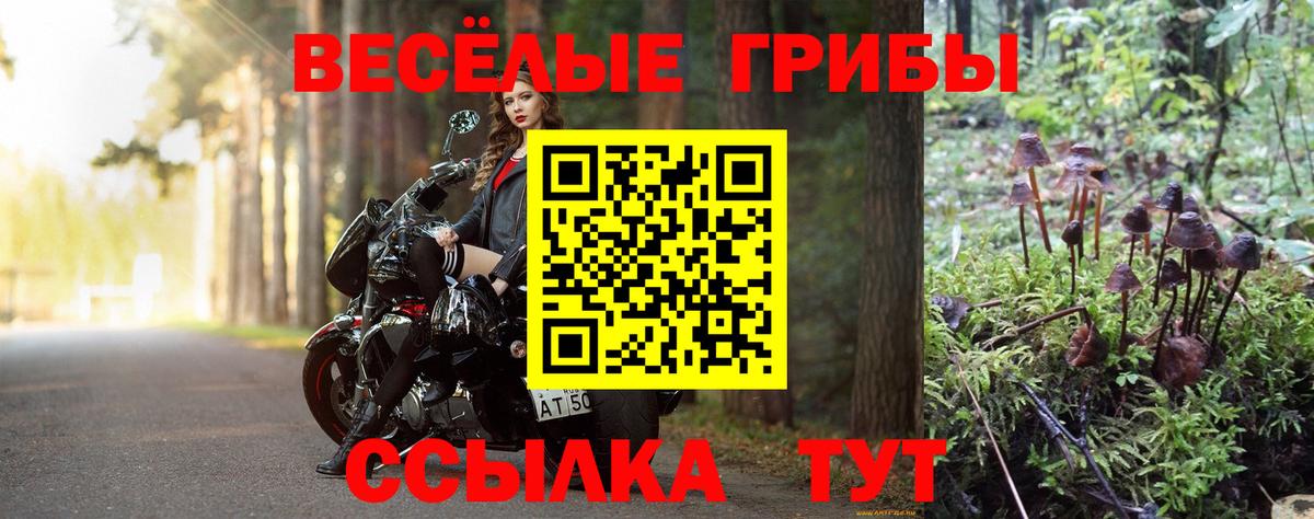 хочу   Вход с VPN  Ухта  Псилоцибиновые грибы Psilocybe 