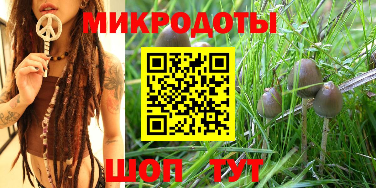 Галлюциногенные грибы мицелий Ухта